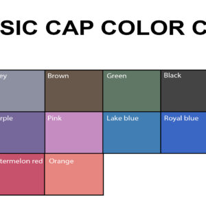 2D Basic Cap